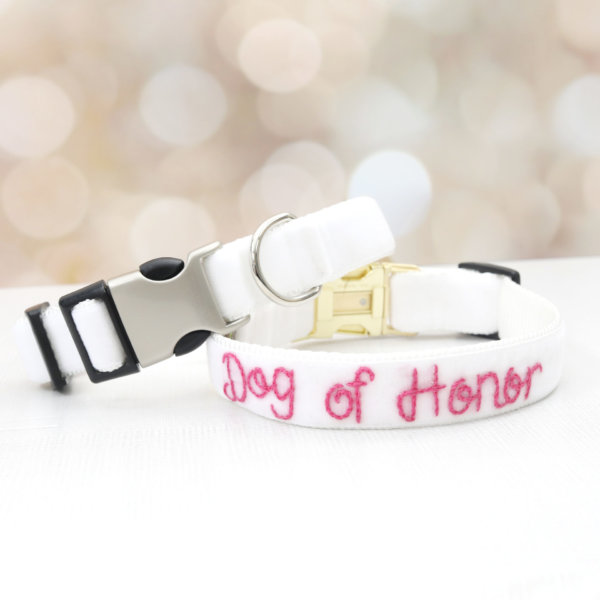 wedding dog collar dog of honor