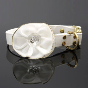 wedding dog collar flower white velvet
