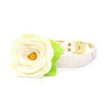 Cream Magnolia Dog Collar Flower