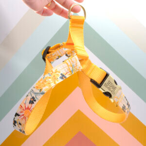 yellow dog harness flowers Hazel engraved
