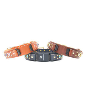 1.5 fi compatible studded leather belt buckle collars (durango kid)