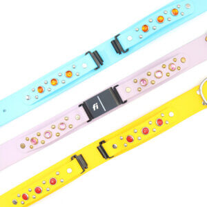 1.5 fi compatible studded waterproof belt buckle collars (durango kid)