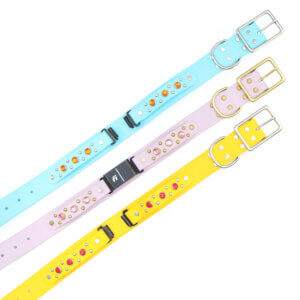 1.5 fi compatible studded waterproof belt buckle collars (durango kid)