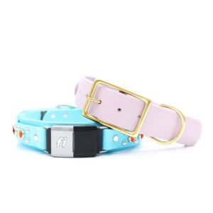 1.5 wide waterproof studded fi belt buckle durango kid cloud blue purple