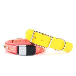 1.5 wide waterproof studded fi belt buckle durango kid yellow coral