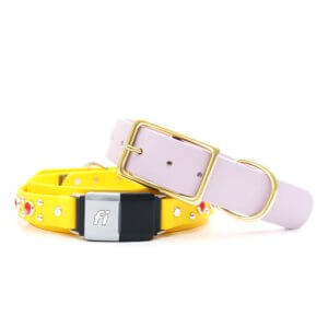 1.5 wide waterproof studded fi belt buckle durango kid pastel purple yellow