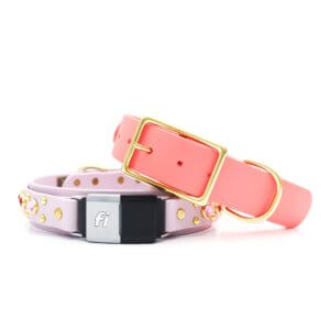 1.5 wide waterproof studded fi belt buckle durango kid pastel purple coral