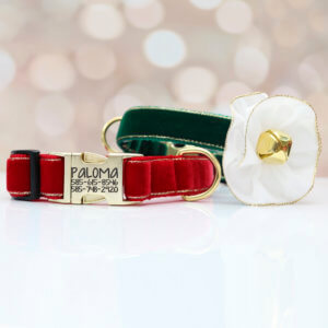 Christmas velvet dog collar engraved name Jubilee