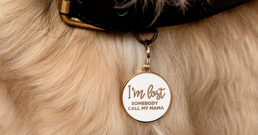 I'm lost two tails dog id tag