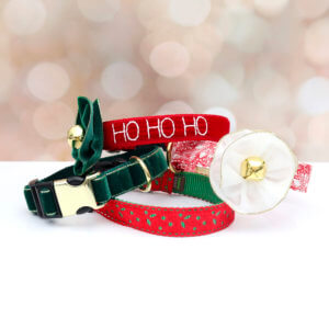 christmas collection dog collars holiday stack