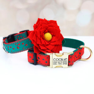 engraved christmas dog collar eve
