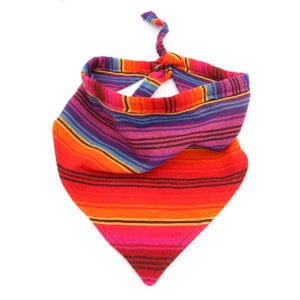 fiesta Guatemalan dog bandana