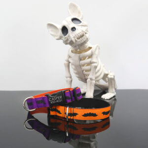 halloween Bat dog collar