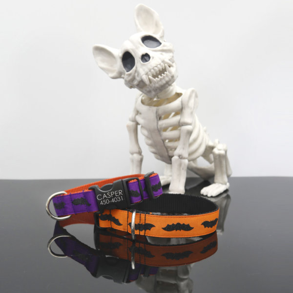 halloween Bat dog collar