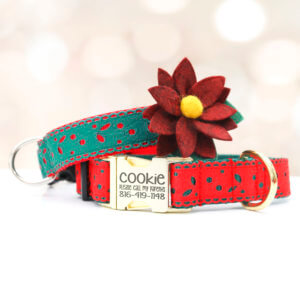 holiday dog collar with poinsettia eve