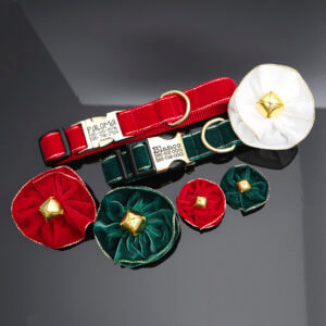holiday golden velvet dog collar
