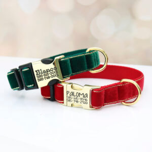 holiday velvet dog collar engraved name Jubilee