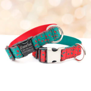 large dog christmas collar eve 1.5