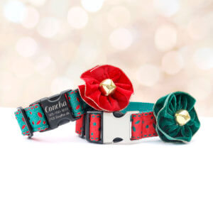 large dog christmas collar flower eve wide big dog