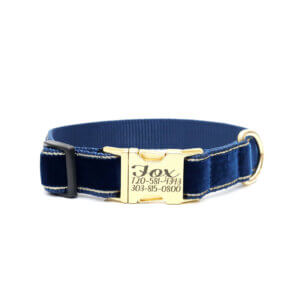 gold edged navy velvet embroidered fox collar