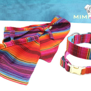 nm true mimi green dog collars fiesta