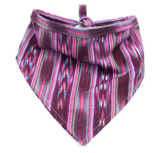 Concha Bandana