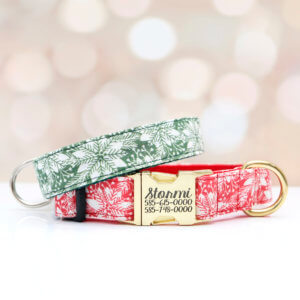 snowflake dog collar Stormi engraved