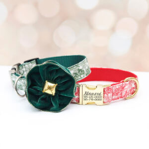 snowflake holiday dog collar flower Stormi