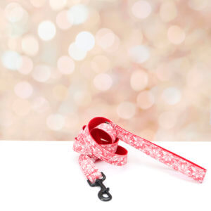 snowflake holiday dog leash Stormi -Red canvas