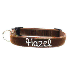 teddy bear brown embroidered dog collar