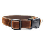 Teddy Bear Brown Velvet Dog Collar