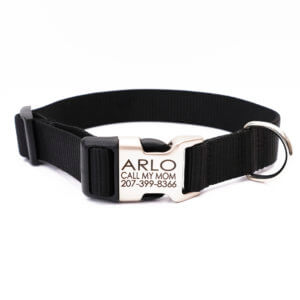 Black engraved dog collar