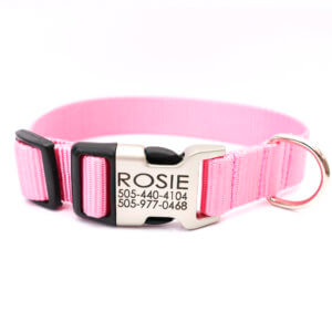 Pink Nylon engraved dog collar