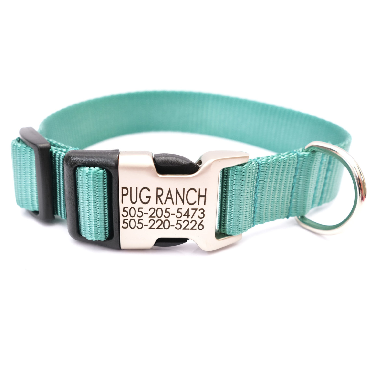 Teal Nylon bing Collar