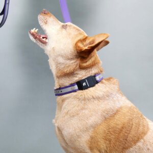 fox in fi series 3 matte reflective 2