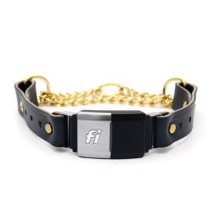 leather fi collar chain martingale black gold