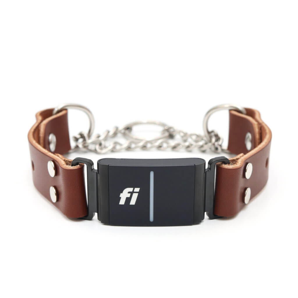 leather fi compatible chain martingale collars