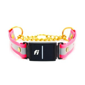 pink reflective fi martingale