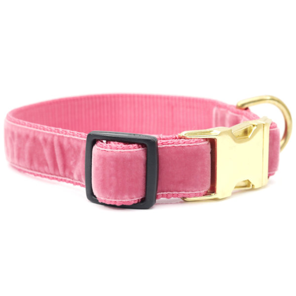 pink velvet dog collar primrose