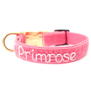 pink velvet embroidered dog collar primrose