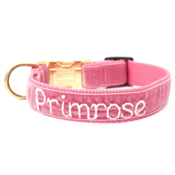 pink velvet embroidered dog collar primrose