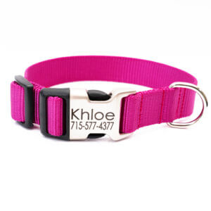 raspberry pink engraved dog collar