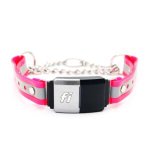 reflective fi martingale (pink) dog collar