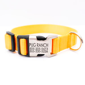 sunshine yellow nylon engraved dog collar