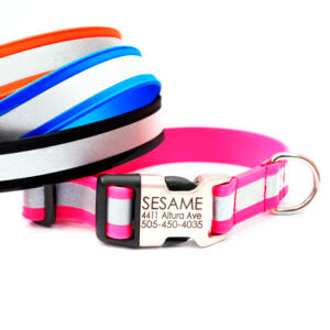 reflective biothane dog collar personalized