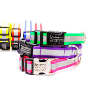 reflective biothane dog collar engraved buckle