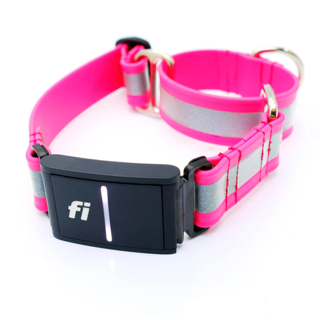Fi Compatible Reflective Lightweight Biothane Waterproof Martingale Dog