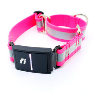 Fi 3 martingale dog collar reflective lightweight biothane