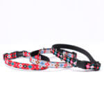 'Jetsons' Star Ribbon Cat Collar -- Breakaway Buckle