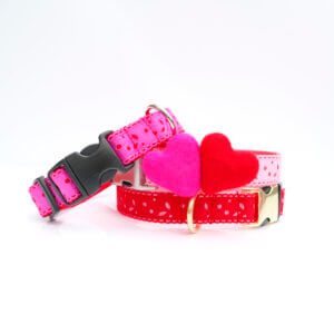 lace valentine dog collars heart eve ribbon